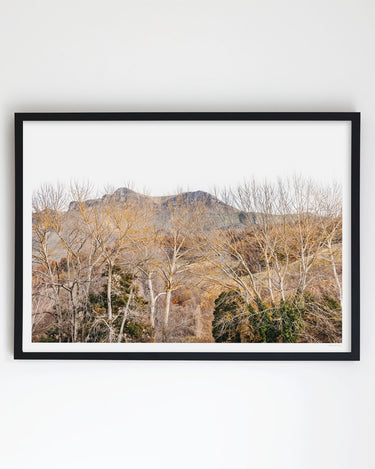 Framed in Black