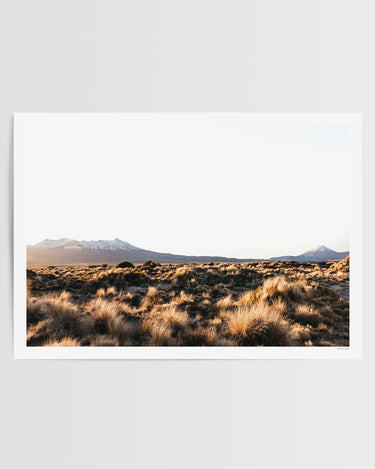 Alpine Wilderness