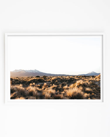 Alpine Wilderness