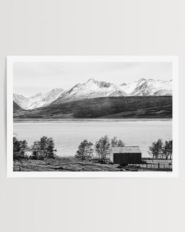 Along Lake Pukaki