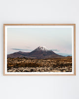 Framed in Oak