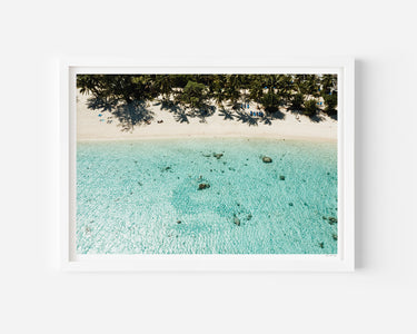 Amongst the Palms • Rarotonga