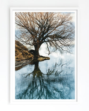 Lake Benmore South Island art print