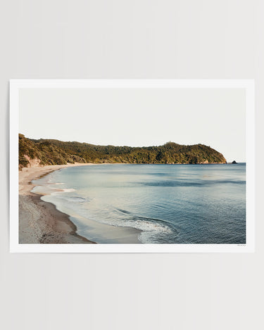 Carefree Days in the Coromandel