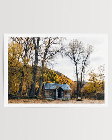 Fallen Leaves, Arrowtown art print – unframed