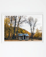 Fallen Leaves, Arrowtown art print – white frame