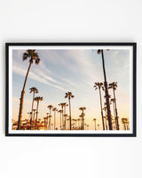 Framed in White