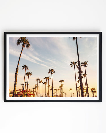 Framed in White