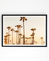 Framed in Black