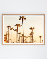 Framed in Oak
