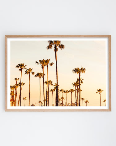 Framed in Oak