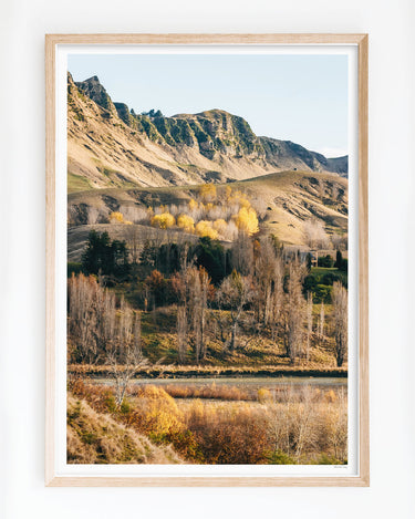 Framed in Oak