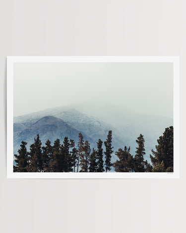 Into the Quiet