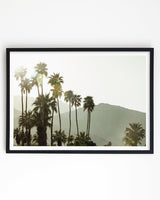 Framed in Black