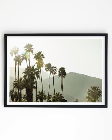 Framed in Black