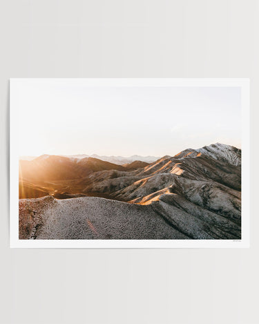 Print Only