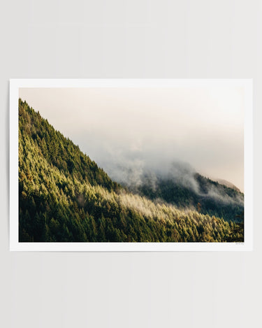 Mist Through the Pines, Queenstown art print – unframed