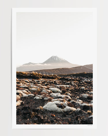 Print Only