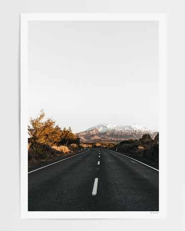 Print Only