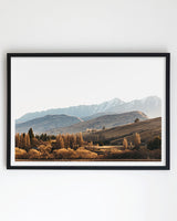 Framed in Black