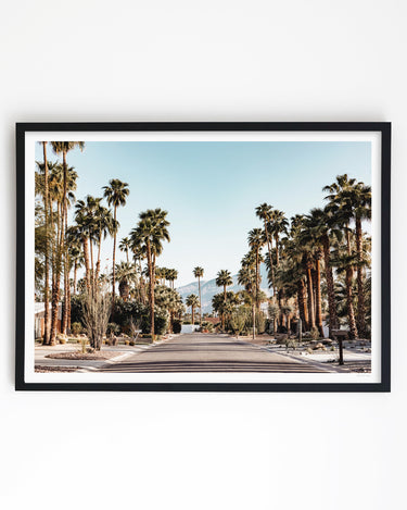 Framed in White