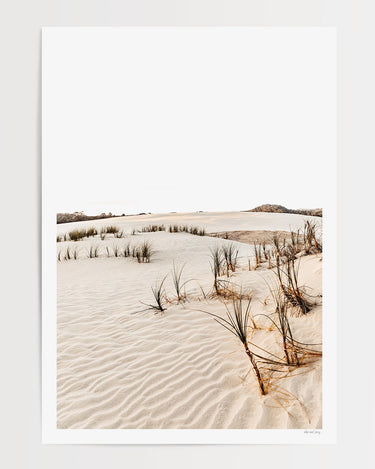 Print Only