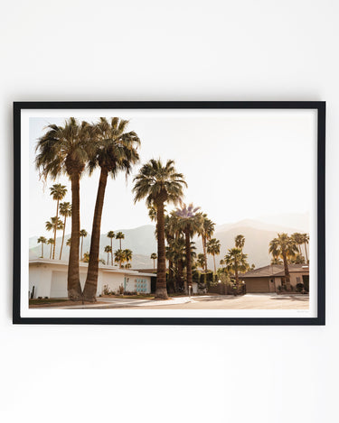 Framed in Black