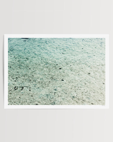 Print Only
