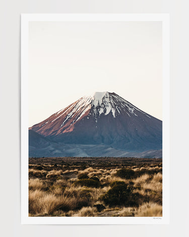 Print Only