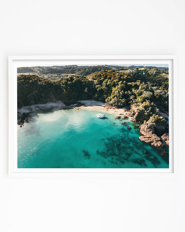 Whale Bay From Above