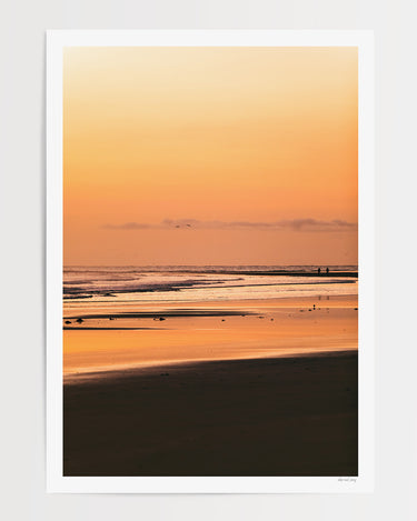 Print Only