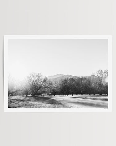 Winter Light