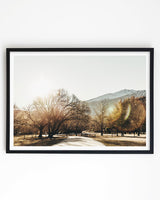 Framed in Black