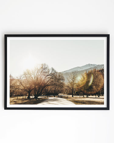 Framed in Black