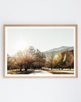 Framed in Oak