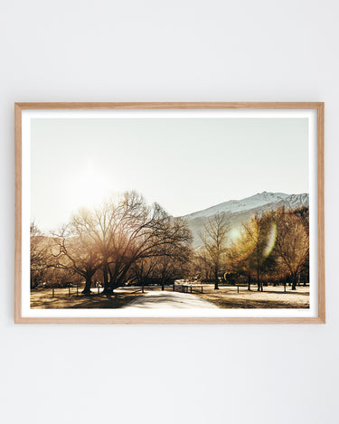 Framed in Oak