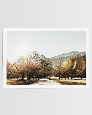 Print Only