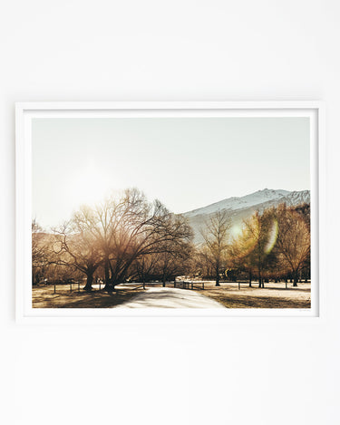 Framed in White