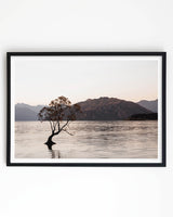 Framed in Black