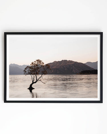 Framed in Black