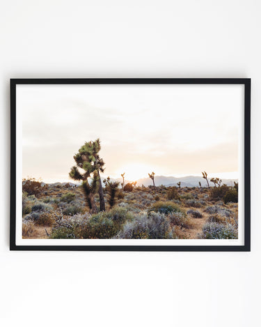 Framed in Black