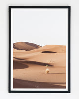 Framed in Black