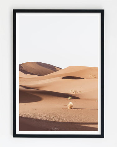 Framed in Black