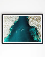 Framed in Black