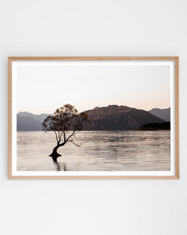 Framed in Oak