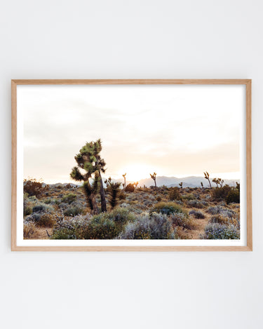Framed in Oak