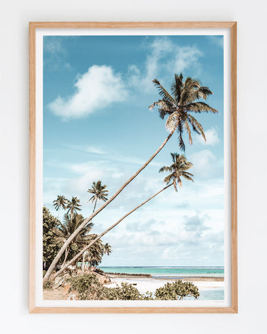 Framed in Oak