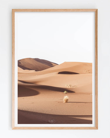 Framed in Oak