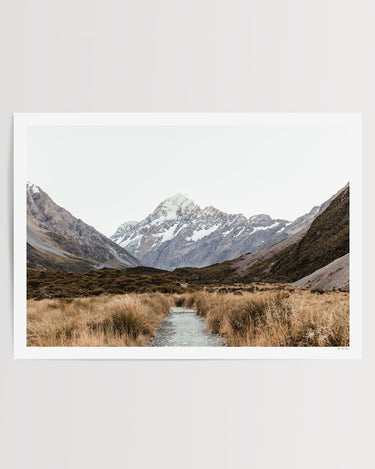 Print Only