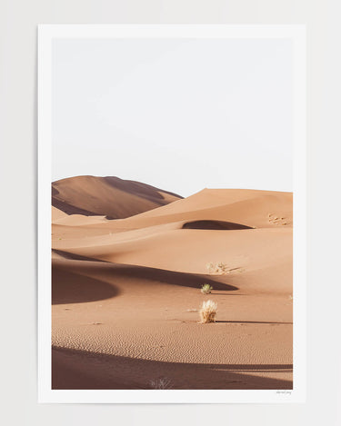 Print Only